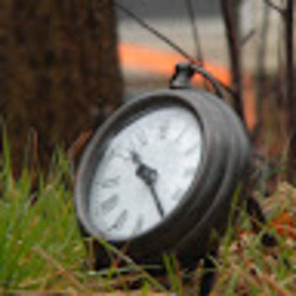 Meet your Posher, Aidan - Picture 1 of 1